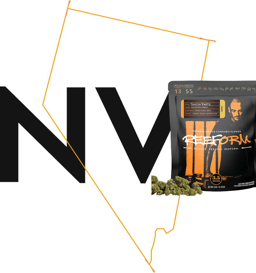 NV_Desk